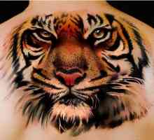 Интересни ценности на татуировката. Тигър в различни култури