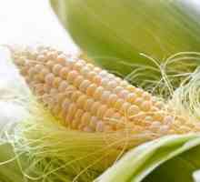 Интересен въпрос: колко калории са в царевицата?