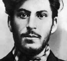 Йосиф Сталин: биография, семейство, цитати. Националност на Сталин