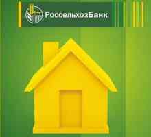 Ипотеки с държавна подкрепа. `Rosselkhozbank`: условия за ипотека, прегледи