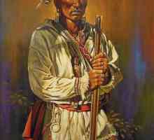 Iroquois - Индианци от Северна Америка: брой и обхват на племето