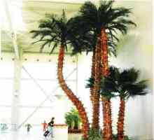 Една изкуствена палма е южно растение, което никога няма да избледнее