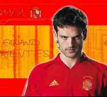 Испанския футболист Morientes Fernando: биография, статистика, цели и интересни факти