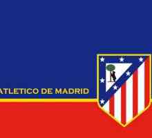 Испанския футболен отбор "Атлетико Мадрид": стадион. Име, история, описание, снимка