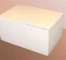 Използване на блокове от експандиран полистирол в строителството на къщи