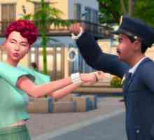 Използваме кода за увеличаване на кариерата в "The Sims 4"