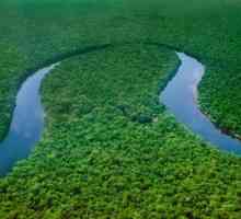Източник на захранване на река Конго. Идентификация на източниците