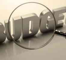 Източници на бюджетното законодателство. Концепцията за бюджетното право. Принципи и предмети на…
