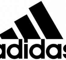 Историята на Adidas, структурата и дейностите на компанията