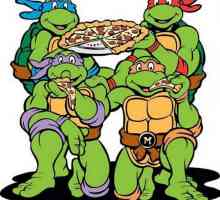 Историята на костенурката-нинджа. Комикси, игри, филми, карикатури и играчки костенурка-нинджа