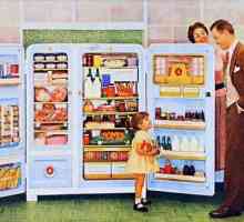 История на хладилника от ледника до модерно оборудване