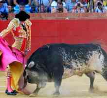 История на бикоборството в Испания: подаване на снимки