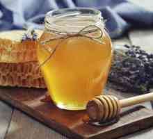 История на меда: интересни факти и първото споменаване на меда