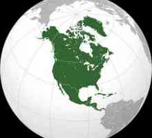 История на откриването, изследването и географското местоположение на Северна Америка