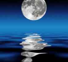 Историята на създаването на "Лунната соната" на Бетовен: кратък преглед