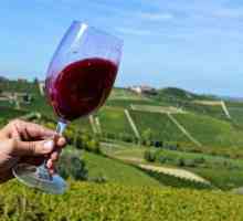 Италианско червено сухо вино "Barbaresco": отзиви
