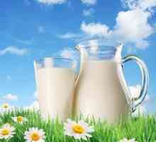 Какво представлява млякото? Как да направите мляко на прах?