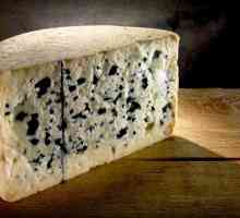 Какъв вид мляко произвежда сиренето Roquefort - технология и характеристики на производството