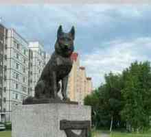 Известни паметници на кучета в Русия и не само