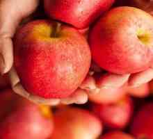 Apple диета: отзиви и резултати от тънка, снимка
