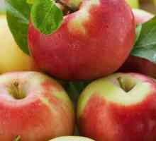 Apple компот от пресни ябълки: рецепти за готвене