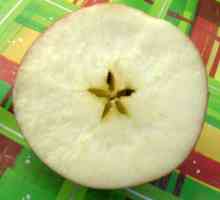Ябълки от вида "анорт" - символ на Казахстан