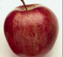 Ябълково дърво "gloster": описание на сорта, снимка