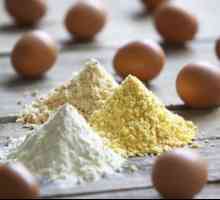 Яйчен прах: производство, рецепти. Омлет от яйчен прах