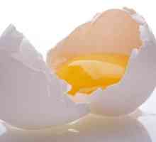 Яйчен протеин: за какво е това?