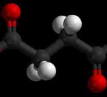 Кехлибарна киселина - формулата на здравето