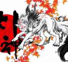 Японски вълк: описание на вида, местообитание, причини за изчезване
