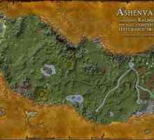 Ashenvale - девствената перла на Azeroth
