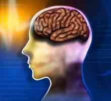 Ефективни лекарства за подобряване на мозъчната функция и паметта