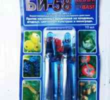Ефективна подготовка за защита на растенията, инструкции за употреба: "Bi 58 New"
