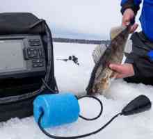 Ехо звук за зимен риболов: функции, видове