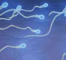 IVF с сперма на донор: индикации, функции, рецензии