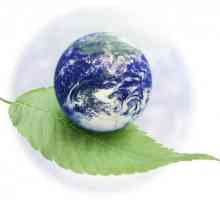 Екологичният фактор е ... Екология и хора. Видове фактори на околната среда. Класификация на…
