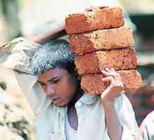 Експлоатация на детския труд: законодателство, характеристики и изисквания