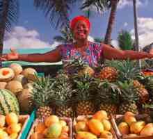 Екзотични плодове Доминиканци: списък, имена и интересни факти