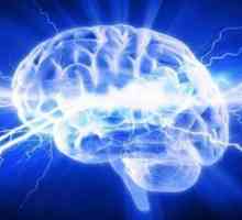 Електрически синапси и техните характеристики
