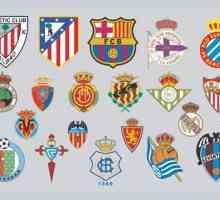 Емблеми на футболните клубове и тяхното историческо значение