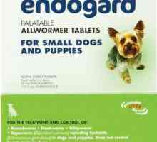 "Endogard" за кучета: инструкции, свойства и дозировка