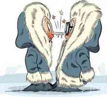 Eskimo Kiss: особености на екзекуцията. Същността на традицията и нейния произход