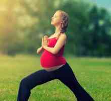 Йога за бременни жени (1-ви триместър). Йога у дома