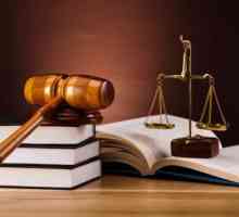 Юридически професии: адвокат, съдия, нотариус, следовател, адвокат. Характеристики, предимства