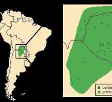 Южна Америка: La Plata Lowland