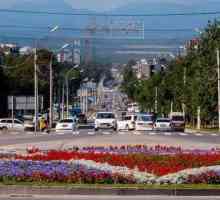 Южно-Сахалинск: население на града