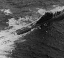 К-8 (подводница). Смъртта на ядрената подводница К-8