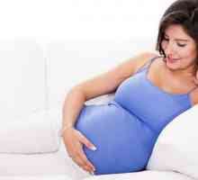 Какво бременна жена мечтае: мечта книга