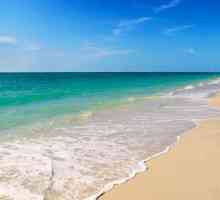 Защо мечтаете за плажа? Тълкуването на мечта ще подскаже отговора